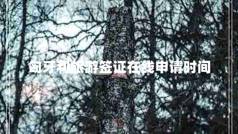 匈牙利旅游簽證在線申請時間