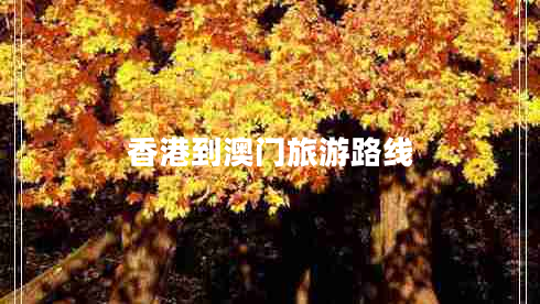 香港到澳門旅游路線 香港到澳門旅游路線