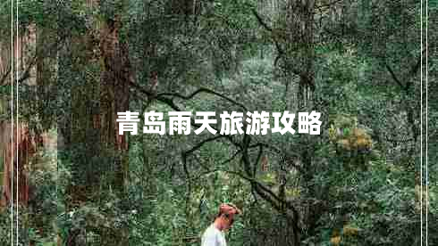 青島雨天旅游攻略 青島雨天旅游攻略