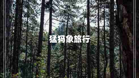 猛犸象旅行 猛犸象旅行