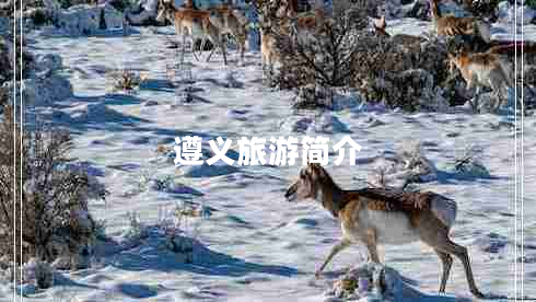 遵義旅游簡(jiǎn)介 遵義旅游簡(jiǎn)介