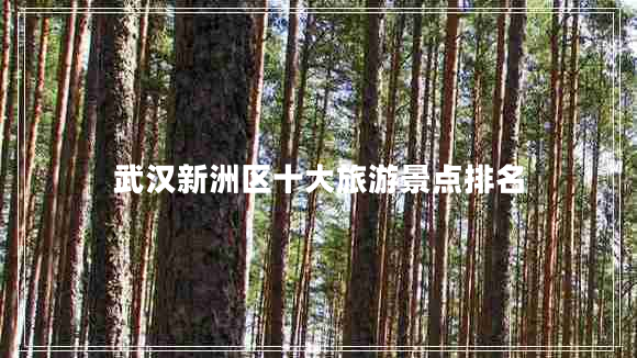 武漢新洲區(qū)十大旅游景點排名 武漢新洲區(qū)十大旅游景點排名