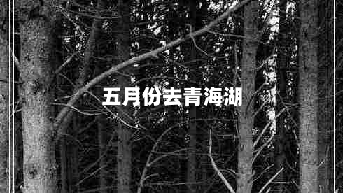 五月份去青海湖 五月份去青海湖