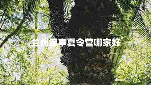 蘭州軍事夏令營(yíng)哪家好