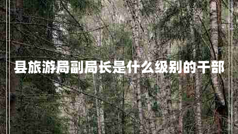 縣旅游局副局長(zhǎng)是什么級(jí)別的干部