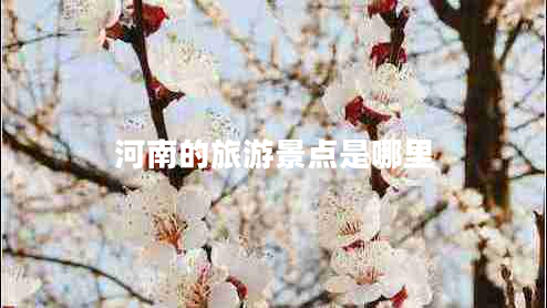 河南的旅游景點是哪里