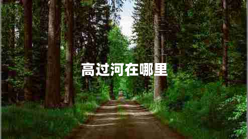 高過河在哪里 高過河在哪里