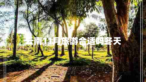 云南11月旅游合適嗎冬天