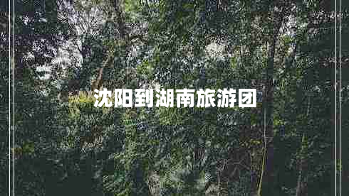 沈陽(yáng)到湖南旅游團(tuán) 沈陽(yáng)到湖南旅游團(tuán)