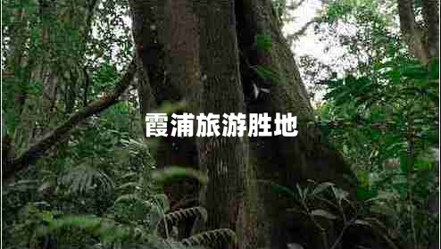 霞浦旅游勝地 霞浦旅游勝地