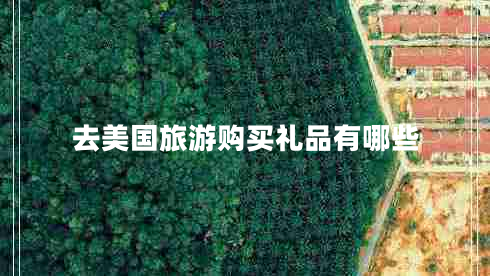 去美國(guó)旅游購(gòu)買(mǎi)禮品有哪些