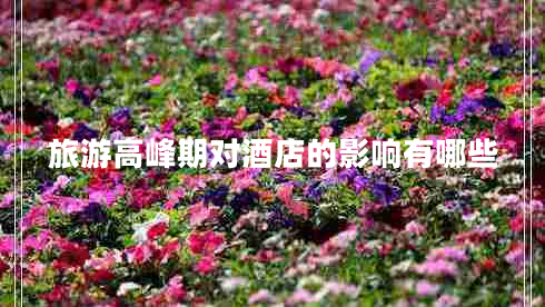 旅游高峰期對酒店的影響有哪些