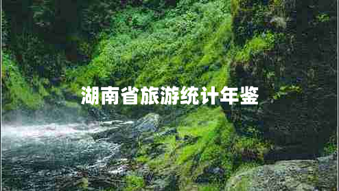 湖南省旅游統(tǒng)計(jì)年鑒