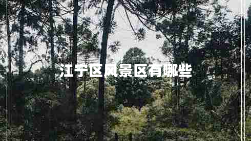 江寧區(qū)風(fēng)景區(qū)有哪些 江寧區(qū)風(fēng)景區(qū)有哪些