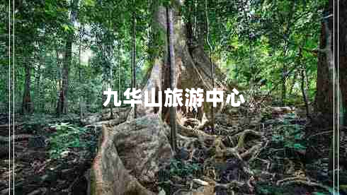 九華山旅游中心 九華山旅游中心