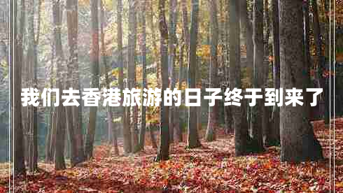 我們?nèi)ハ愀勐糜蔚娜兆咏K于到來了 我們?nèi)ハ愀勐糜蔚娜兆咏K于到來了