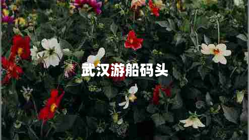 武漢游船碼頭 武漢游船碼頭