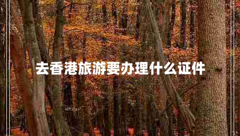 去香港旅游要辦理什么證件