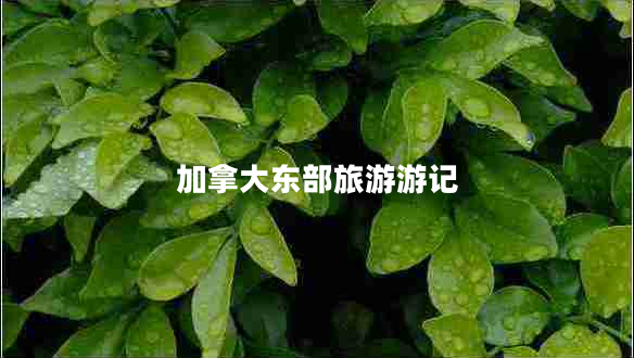 加拿大東部旅游游記 加拿大東部旅游游記