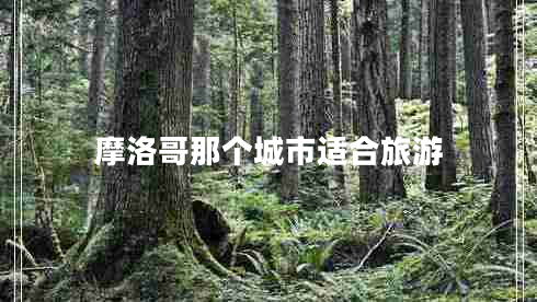 摩洛哥那個城市適合旅游 摩洛哥那個城市適合旅游