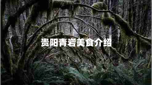 貴陽青巖美食介紹 貴陽青巖美食介紹