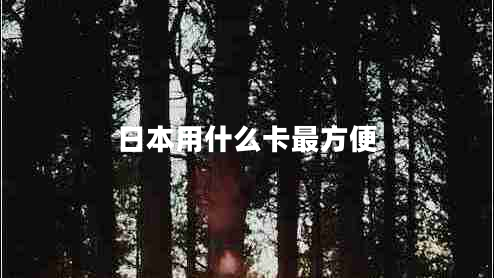 日本用什么卡最方便 日本用什么卡最方便