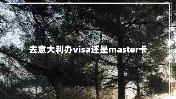 去意大利辦visa還是master卡 去意大利辦visa還是master卡