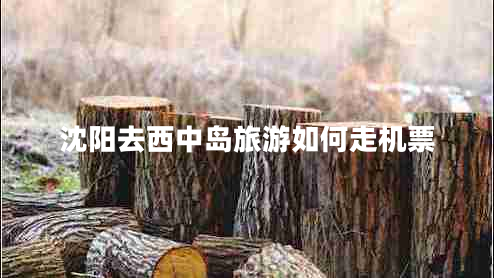 沈陽去西中島旅游如何走機票