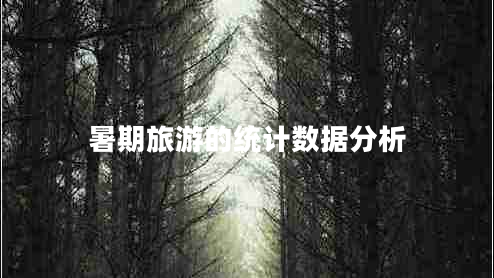 暑期旅游的統(tǒng)計(jì)數(shù)據(jù)分析 暑期旅游的統(tǒng)計(jì)數(shù)據(jù)分析