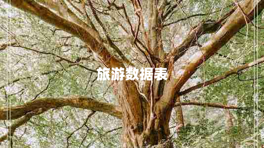 旅游數(shù)據(jù)表 旅游數(shù)據(jù)表