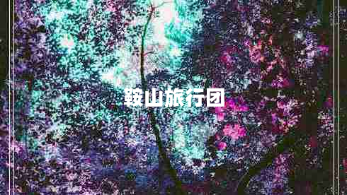 鞍山旅行團(tuán)