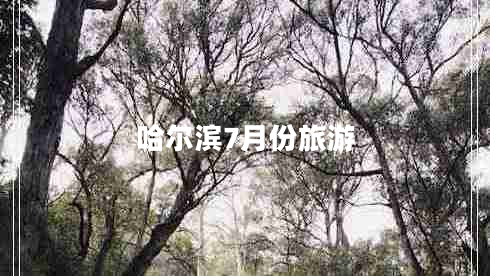 哈爾濱7月份旅游