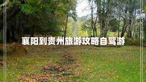 襄陽到貴州旅游攻略自駕游