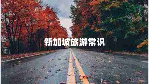 新加坡旅游常識