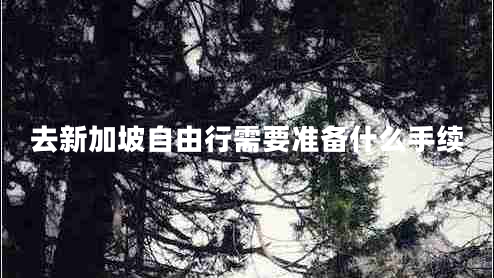 去新加坡自由行需要準(zhǔn)備什么手續(xù)