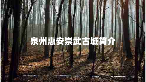 泉州惠安崇武古城簡介 泉州惠安崇武古城簡介