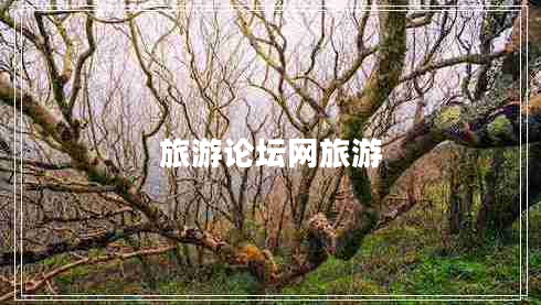 旅游論壇網(wǎng)旅游 旅游論壇網(wǎng)旅游