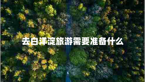 去白洋淀旅游需要準備什么
