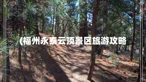 (福州永泰云頂景區(qū)旅游攻略 (福州永泰云頂景區(qū)旅游攻略