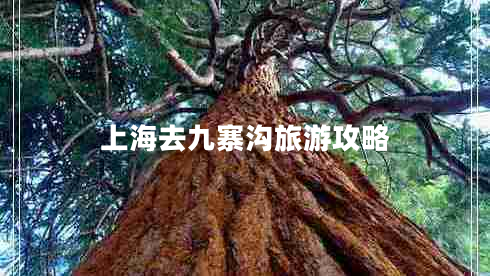 上海去九寨溝旅游攻略 上海去九寨溝旅游攻略