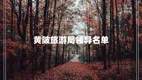 黃陂旅游局領(lǐng)導(dǎo)名單