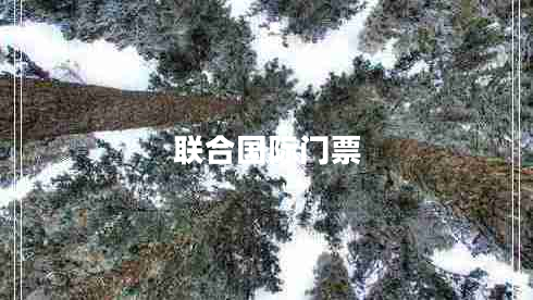 聯(lián)合國際門票