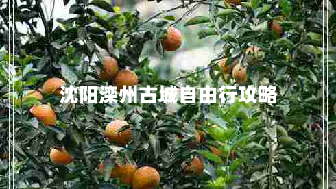 沈陽灤州古城自由行攻略