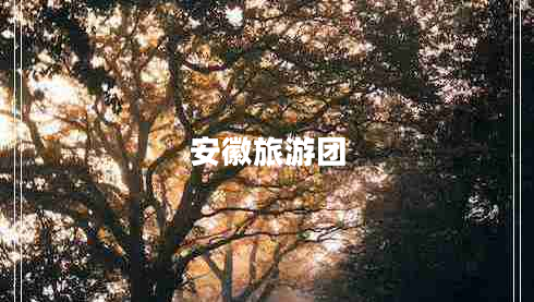 安徽旅游團