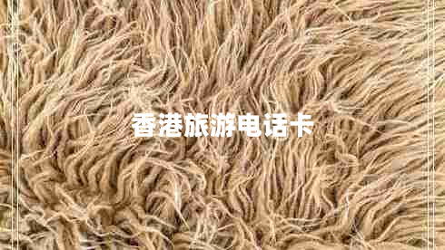 香港旅游電話卡