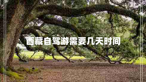 西藏自駕游需要幾天時間