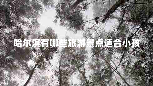 哈爾濱有哪些旅游景點(diǎn)適合小孩 哈爾濱有哪些旅游景點(diǎn)適合小孩