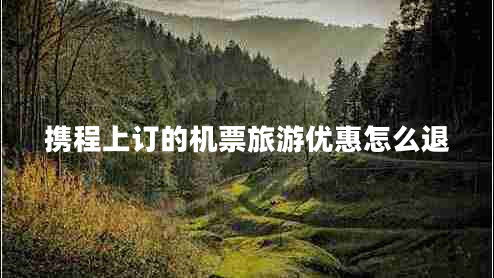 攜程上訂的機(jī)票旅游優(yōu)惠怎么退 攜程上訂的機(jī)票旅游優(yōu)惠怎么退