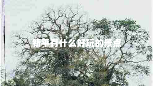 新平有什么好玩的景點