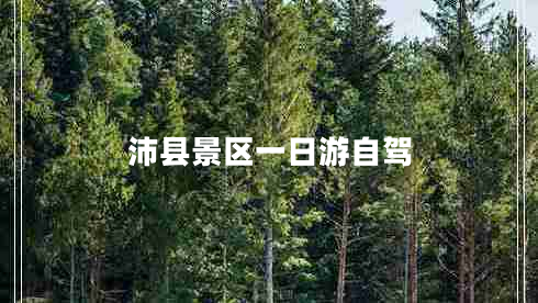 沛縣景區(qū)一日游自駕